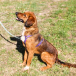 20251101-fotos-dario-15