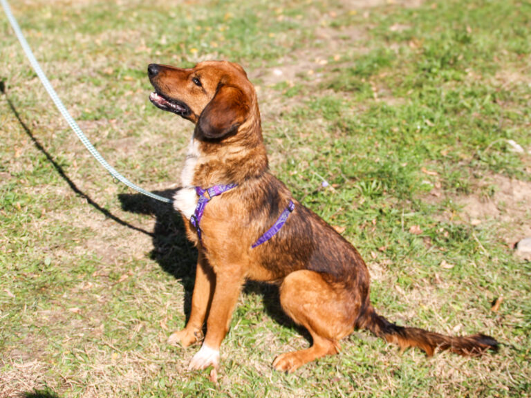 20251101-fotos-dario-15