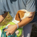 20251101-fotos-fico-01