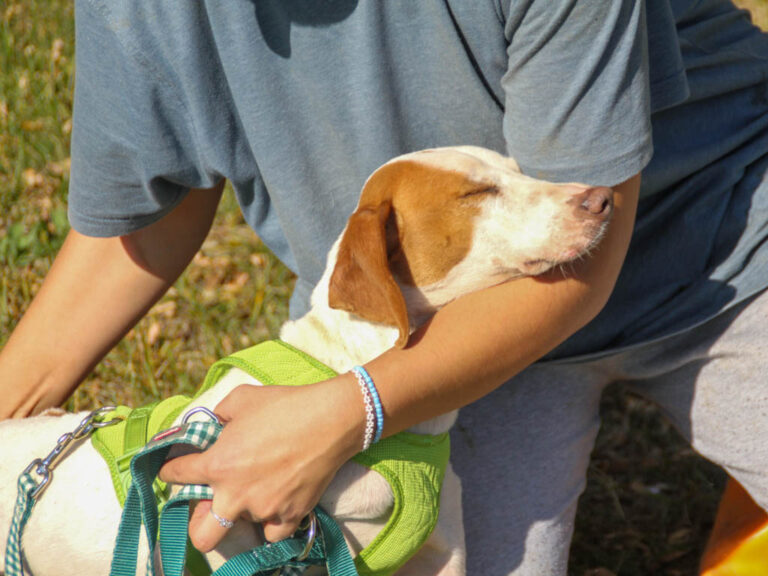 20251101-fotos-fico-01