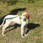 20251101-fotos-fico-06