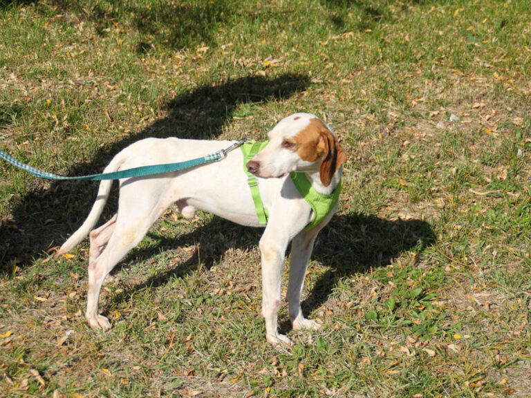 20251101-fotos-fico-06