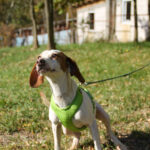 20251101-fotos-fico-11