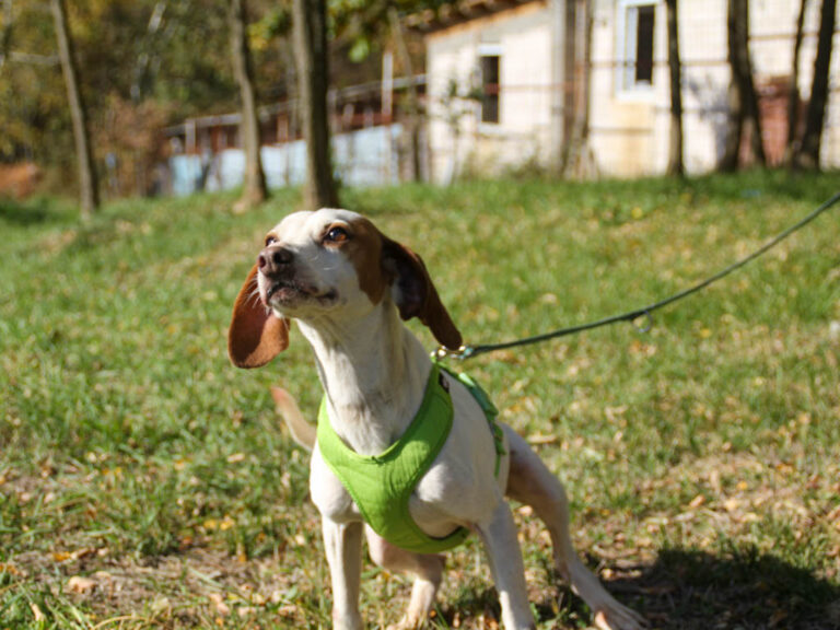 20251101-fotos-fico-11