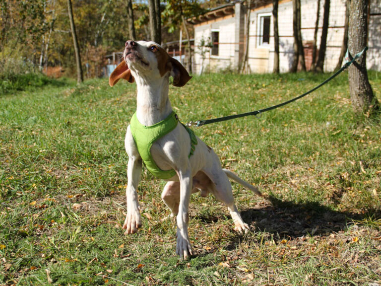 20251101-fotos-fico-13