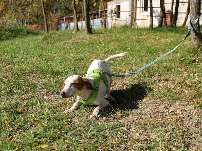 20251101-fotos-fico-15