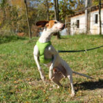 20251101-fotos-fico-16