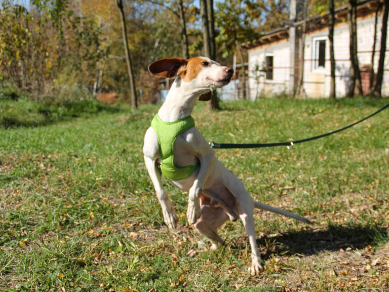 20251101-fotos-fico-16