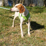 20251101-fotos-fico-17