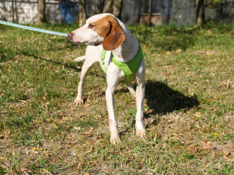 20251101-fotos-fico-17