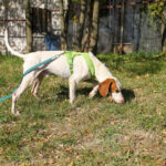 20251101-fotos-fico-18