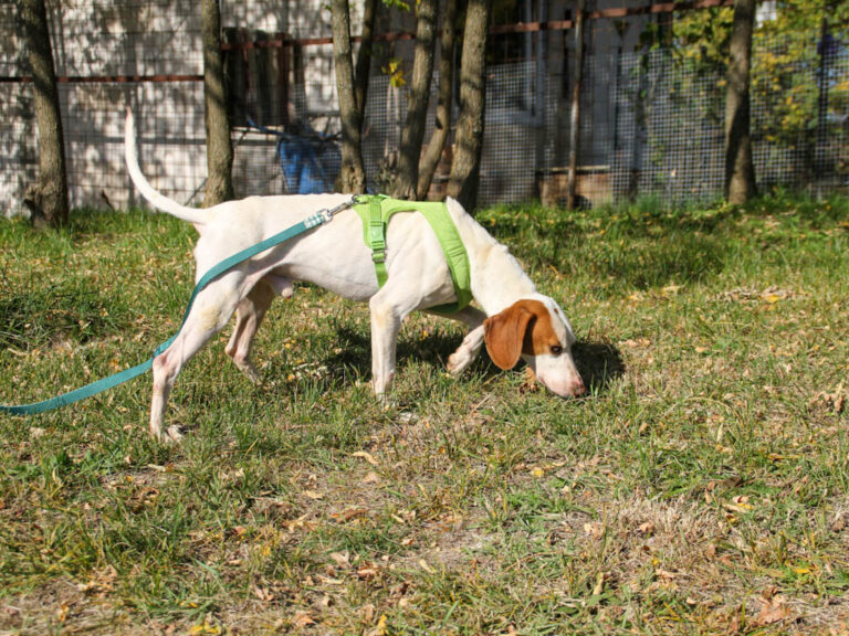 20251101-fotos-fico-18