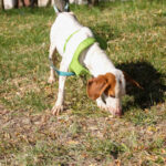 20251101-fotos-fico-19