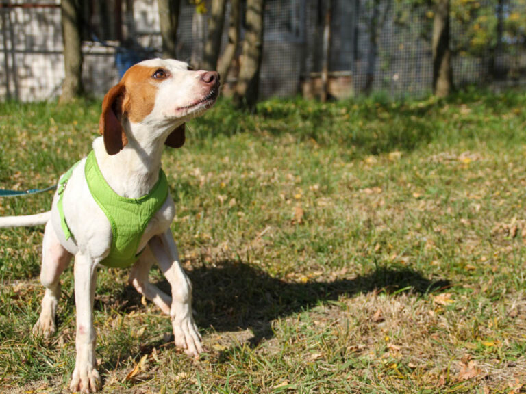 20251101-fotos-fico-20