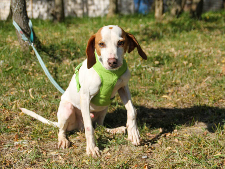 20251101-fotos-fico-21