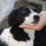 20251101-fotos-ilias-1