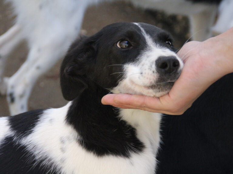 20251101-fotos-ilias-1