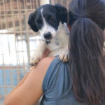 20251101-fotos-ilias-2