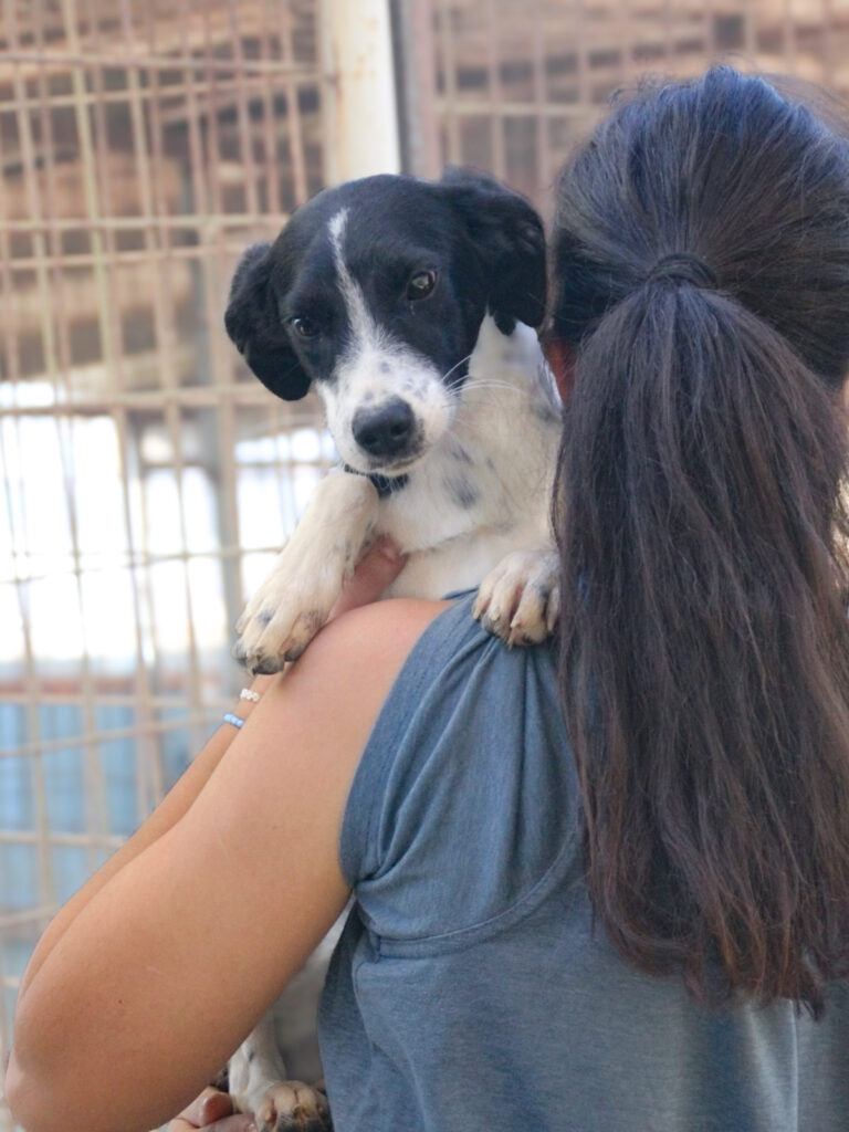 20251101-fotos-ilias-2