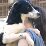 20251101-fotos-ilias-4