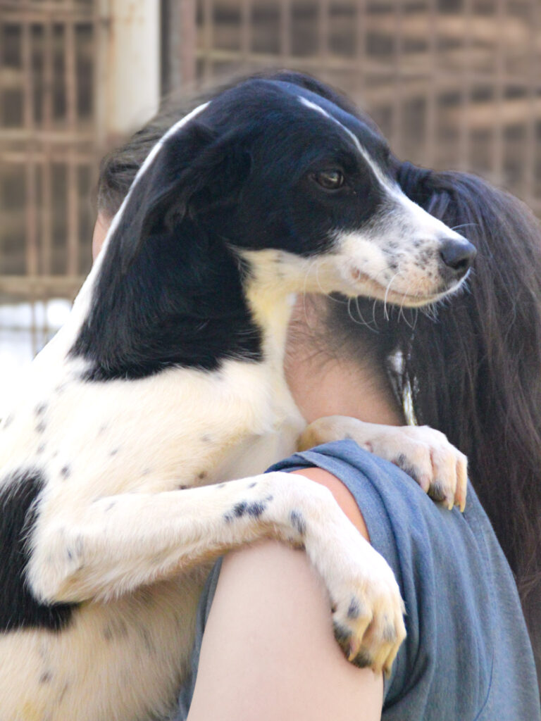 20251101-fotos-ilias-4