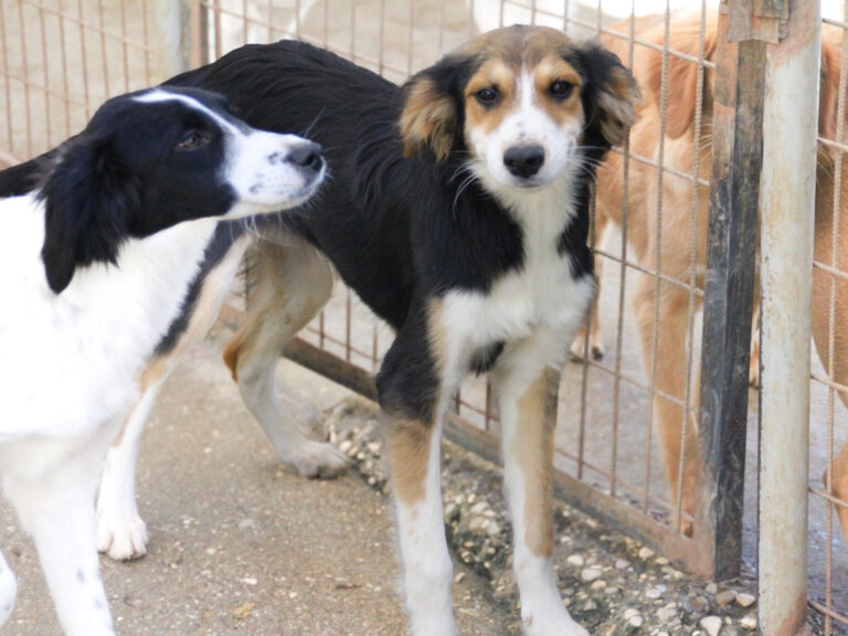 20251101-fotos-ilon-1