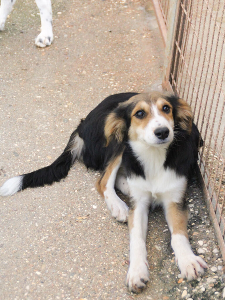 20251101-fotos-ilon-4