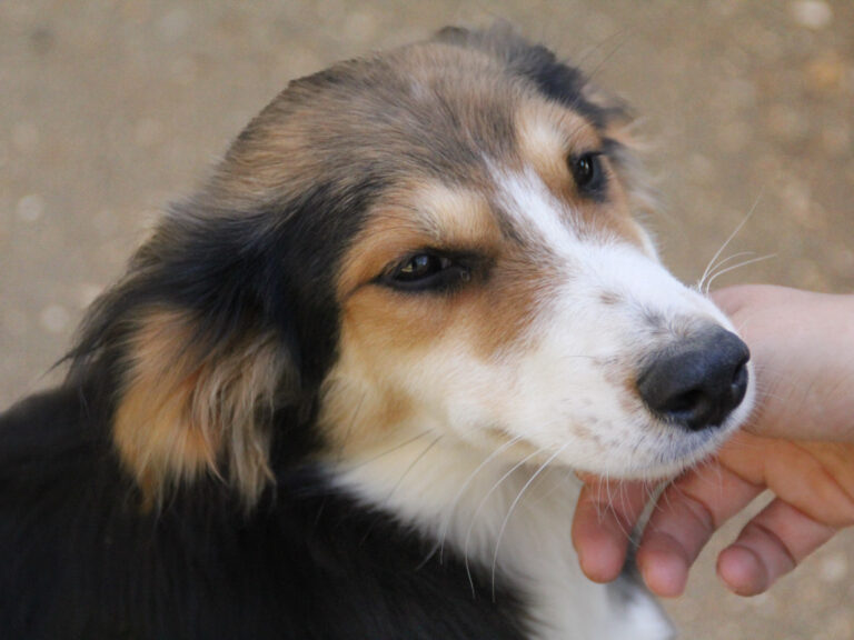 20251101-fotos-ilon-6