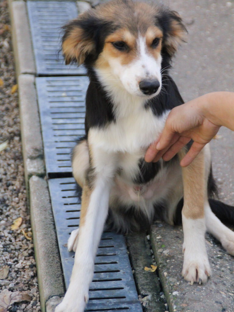 20251101-fotos-ilon-9