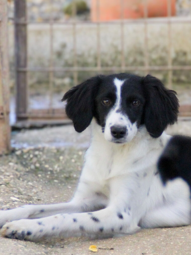 20251101-fotos-irena-1