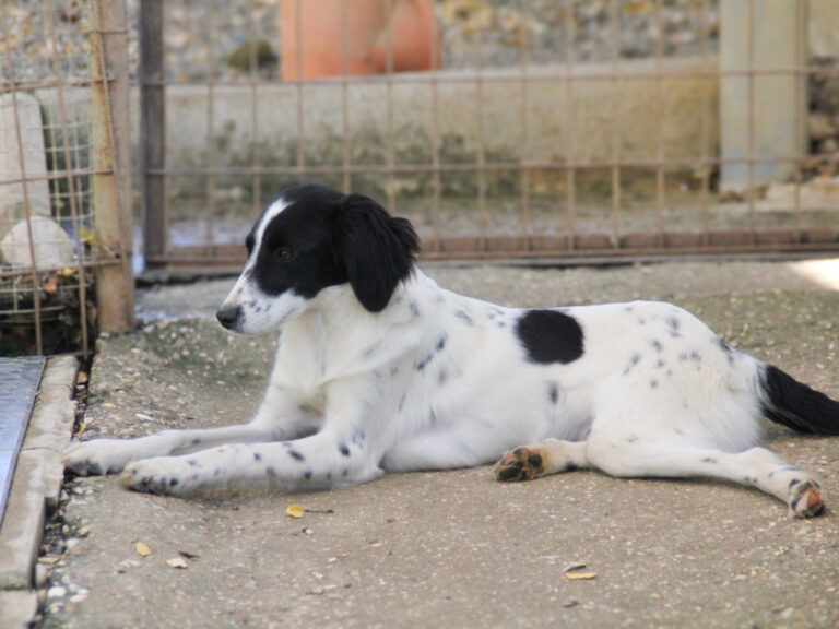 20251101-fotos-irena-3