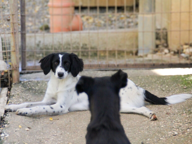 20251101-fotos-irena-4