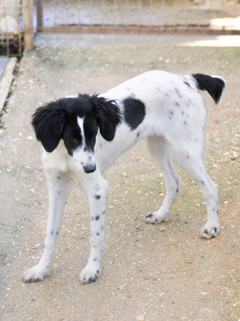 20251101-fotos-irena-6