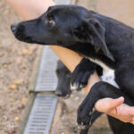 20251101-fotos-irma-01