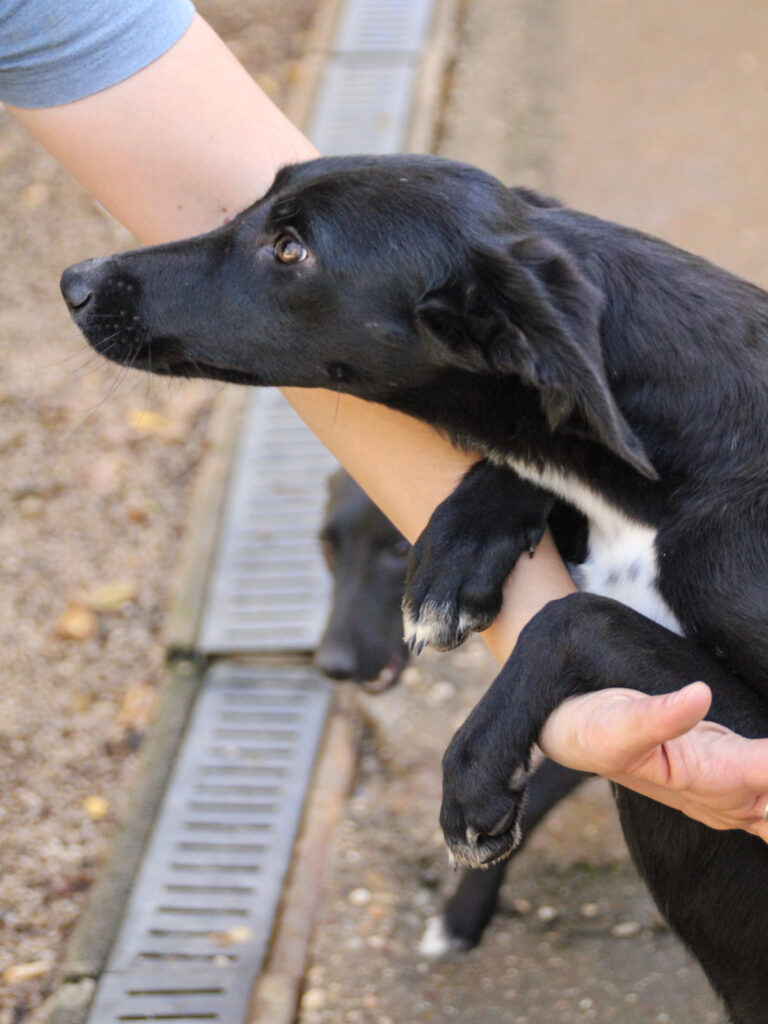 20251101-fotos-irma-01