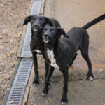 20251101-fotos-irma-02