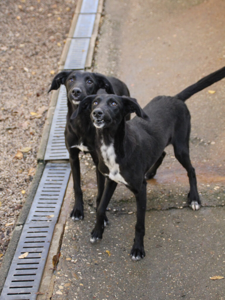 20251101-fotos-irma-02