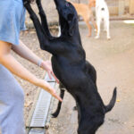 20251101-fotos-irma-08