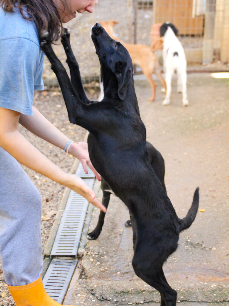 20251101-fotos-irma-08