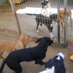 20251101-fotos-irma-11