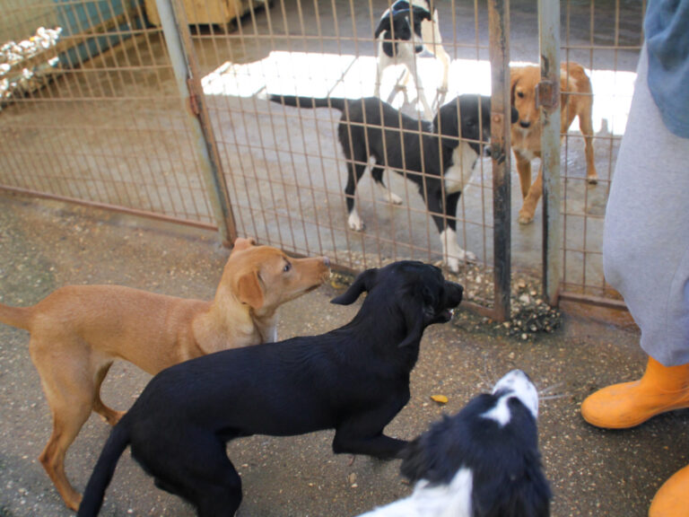 20251101-fotos-irma-11