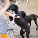 20251101-fotos-irma-12