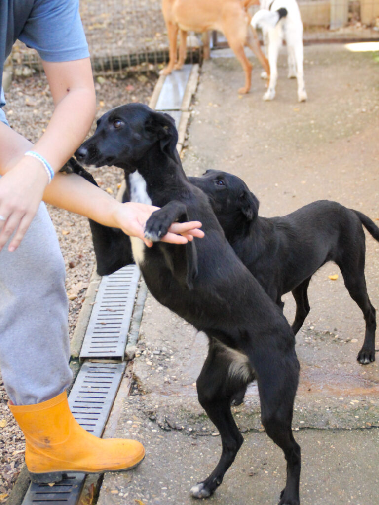 20251101-fotos-irma-12