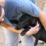 20251101-fotos-irma-15