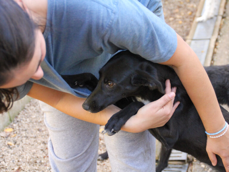 20251101-fotos-irma-15