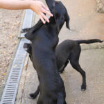 20251101-fotos-irma-16