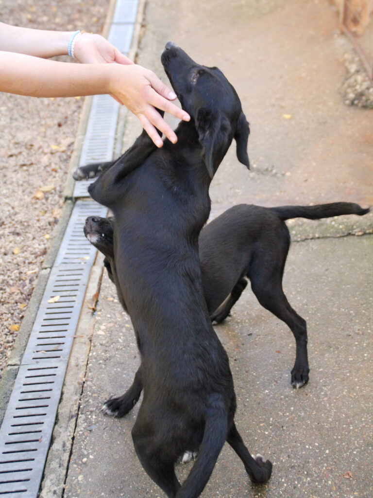 20251101-fotos-irma-16