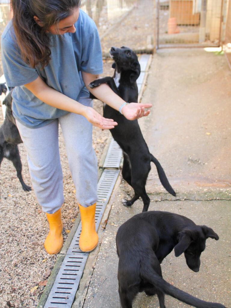 20251101-fotos-irma-17