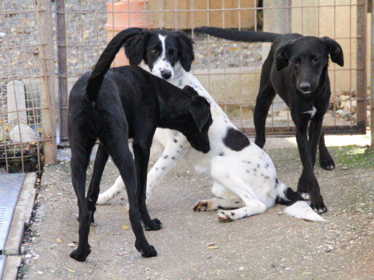 20251101-fotos-isidora-01