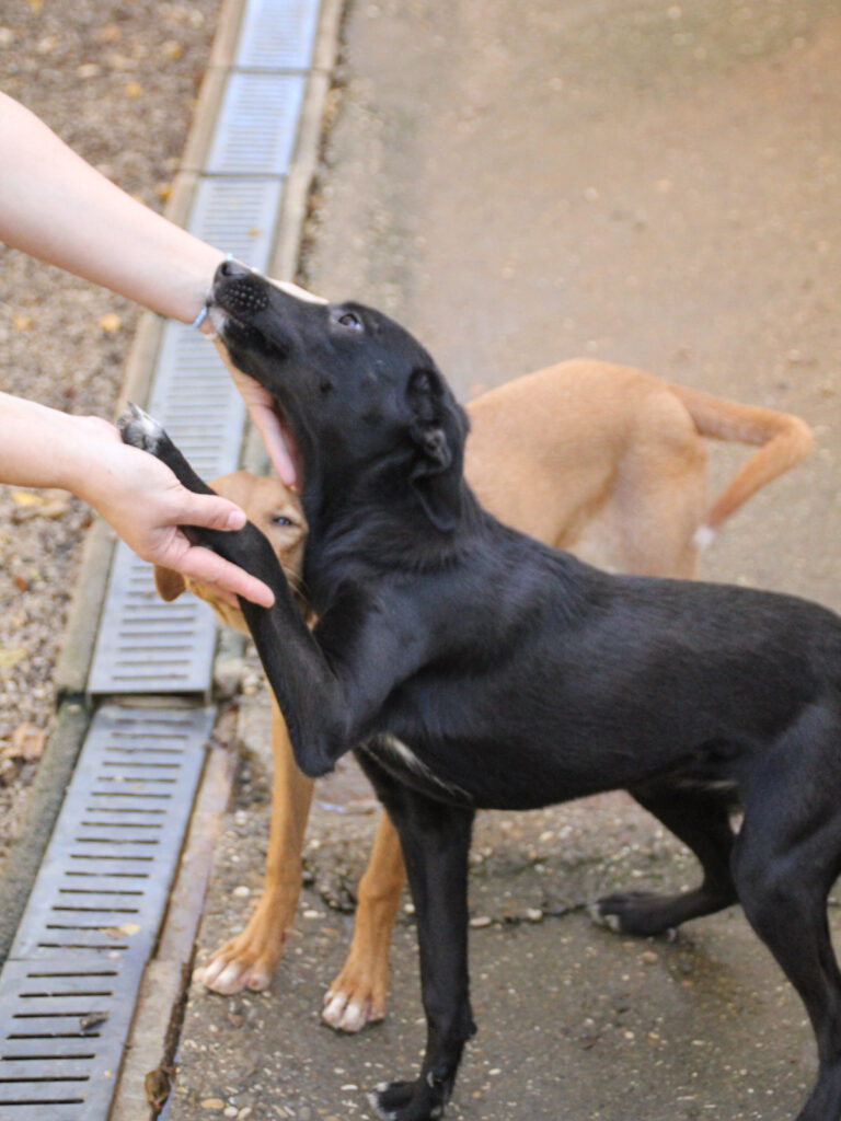 20251101-fotos-isidora-04